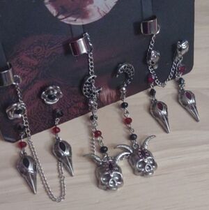 Gothic Bird Skull Oni Demon Dark Metal Red Crystal Grunge Earrings Set